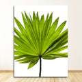 Botanical Minimal Canvas Art